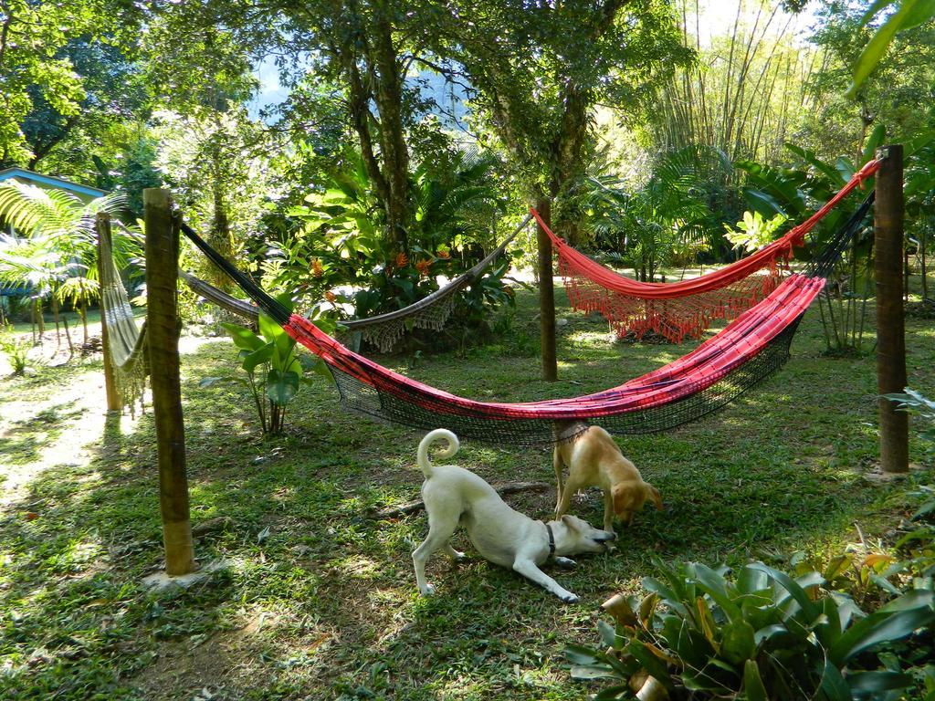 Bicho do Mato Suites Guapimirim Esterno foto