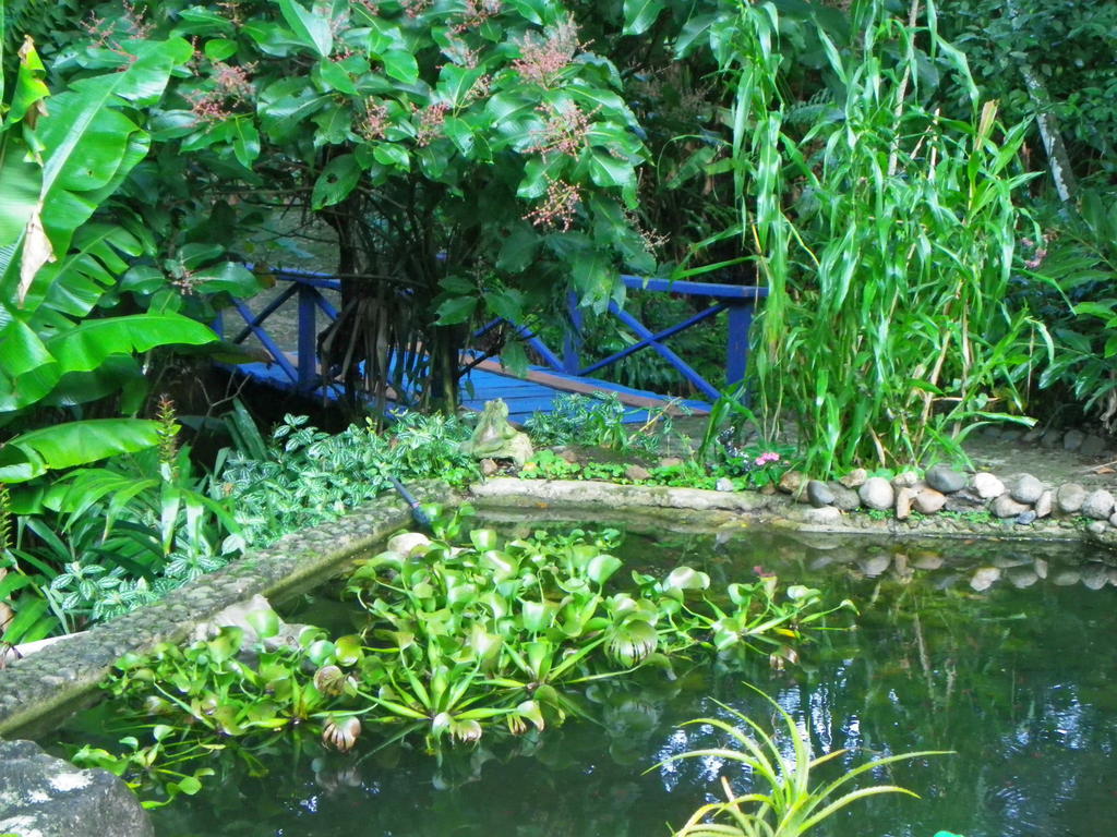 Bicho do Mato Suites Guapimirim Esterno foto