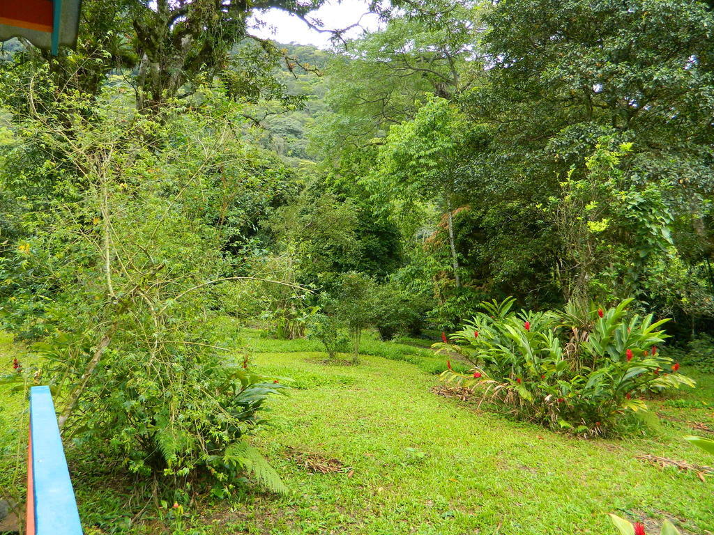 Bicho do Mato Suites Guapimirim Esterno foto